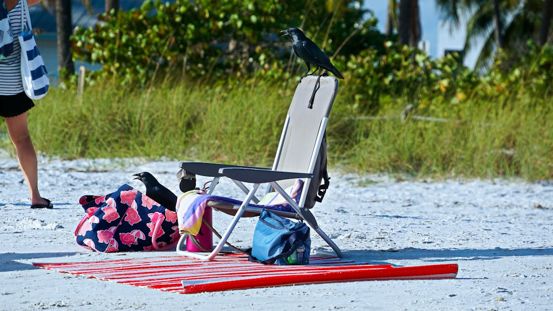Top 10 Must-Have Items for Beach Travel Enthusiasts
